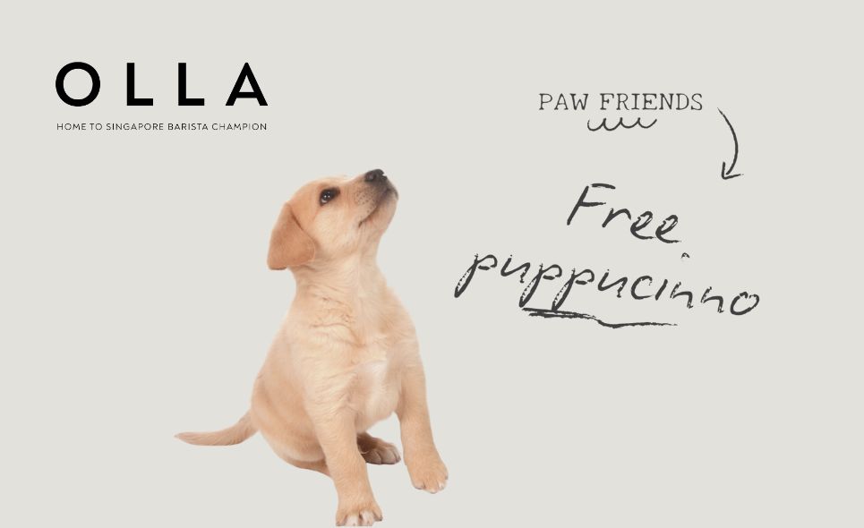 [OLLA Specialty Coffee] Free Puppucinno